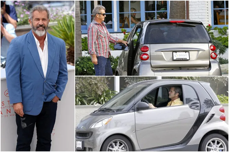 MEL GIBSON – SMART – $ 20 MILA