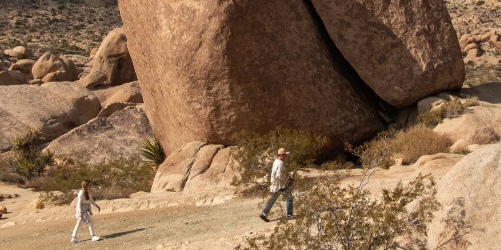 7 Must-Experience Joshua Tree Hikes
