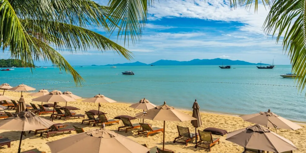 What Are the Top Things to Do in Key West?